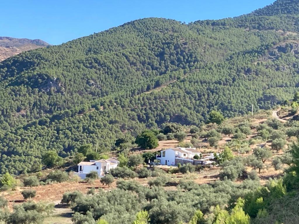Apartamento La Fuente Alcaucín מראה חיצוני תמונה